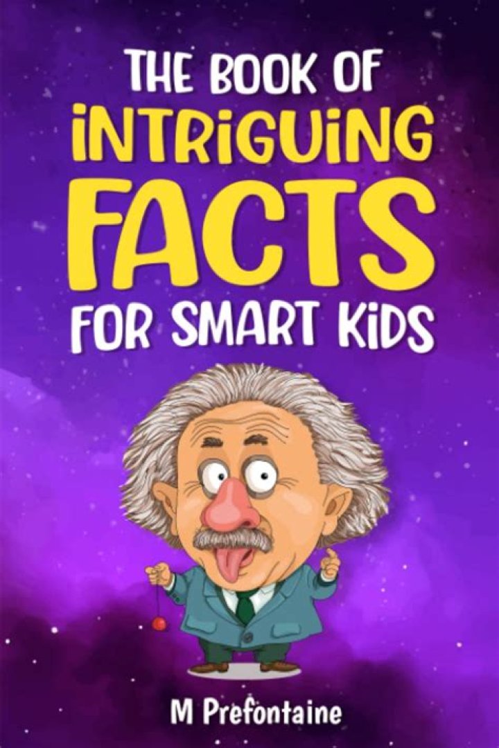 5 Intriguing Insights For Curious Minds