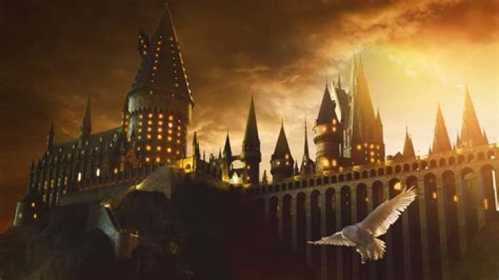 Age, Harry Potter, And Beyond