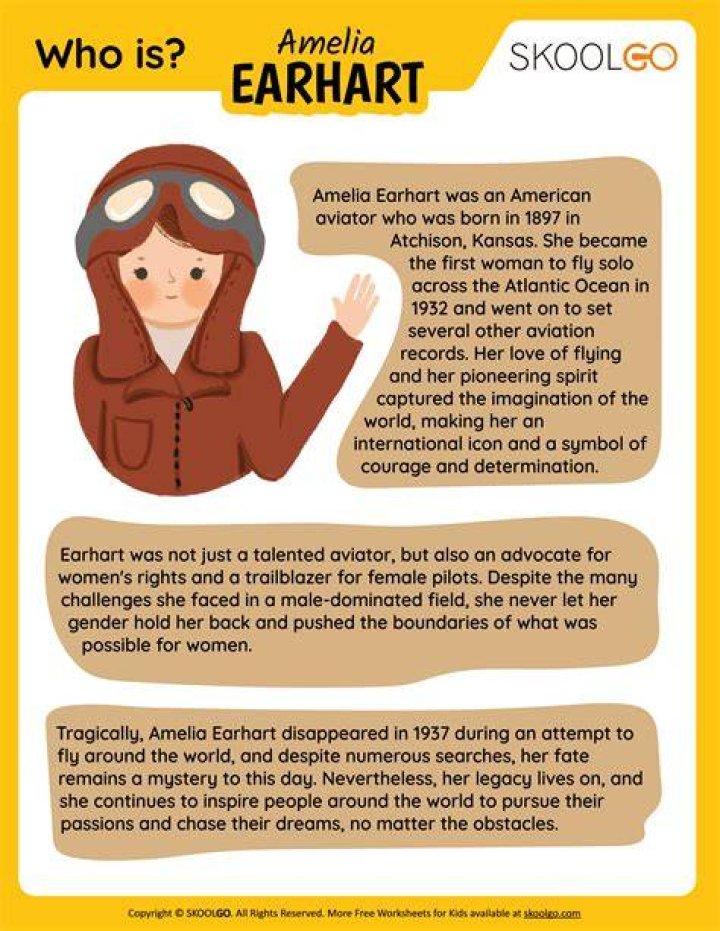 Amelia Earhart - BlogPaper