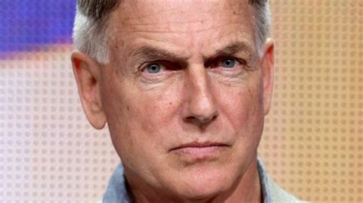 Dark Secrets The Cast Of NCIS Tried To Hide