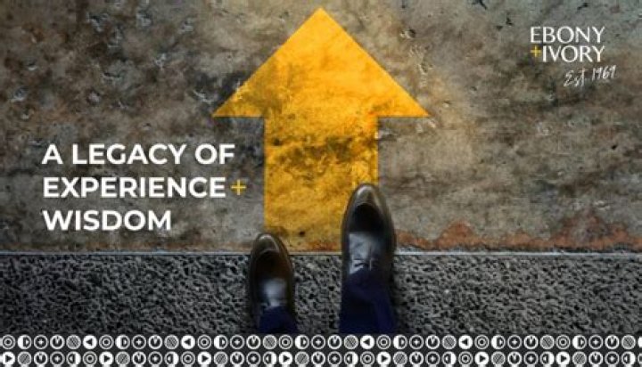 Exploring Experience, Wisdom, And Impact