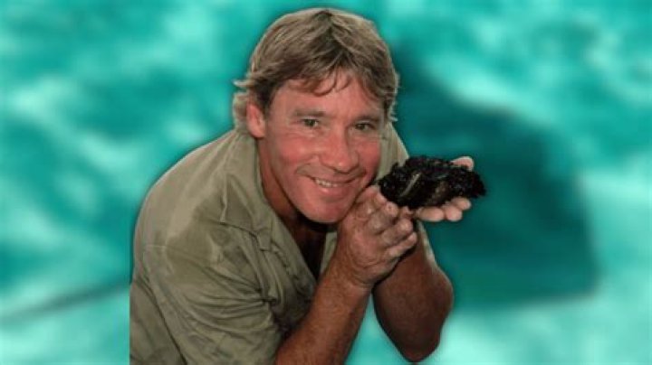 How Did Steve Downes Die?