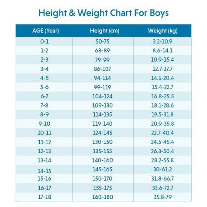 Lucy Hale's Weight And Height Explored
