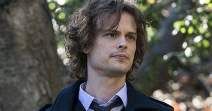 Matthew Gray Gubler Assault Allegations, What Happened To The Criminal Minds Actor?