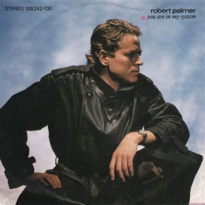 Robert Palmer ·