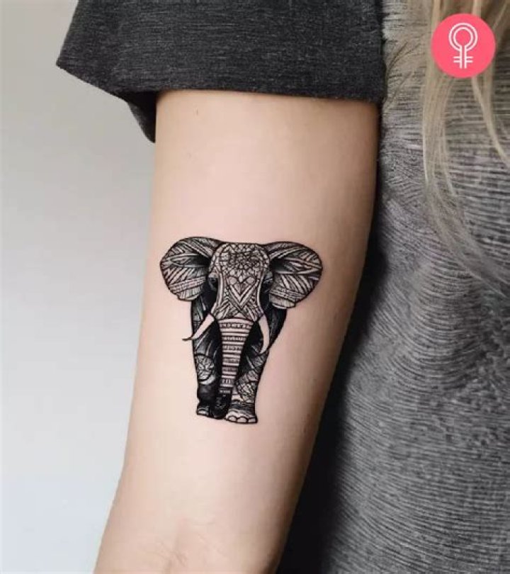 Uncover The Enchanting World Of Elephant Tattoos