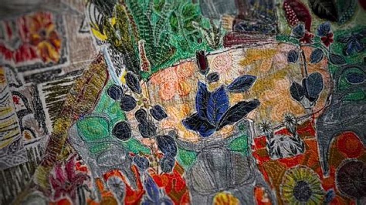 Unveiling Jorgelina Cardoso: Discoveries And Insights