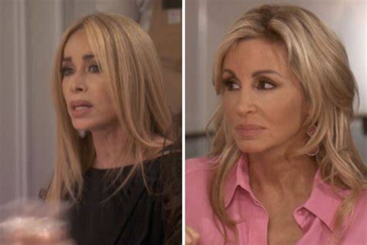 Unveiling The Secrets Of "Faye Resnick And Camille Grammer Drama"