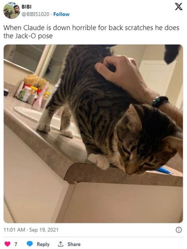 What Is Jacko Challenge On Twitter? Jack-O Crouch Pose Memes & #jackochallenge Meaning Explained