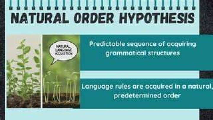 What is the natural order hypothesis by Stephen Krashen?