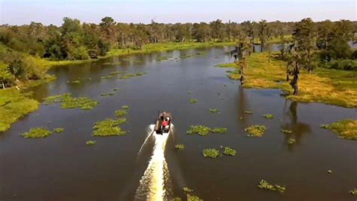Who Won The 350 Alligator Tags In Louisiana 2023